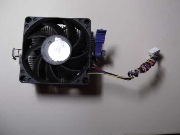 AMD